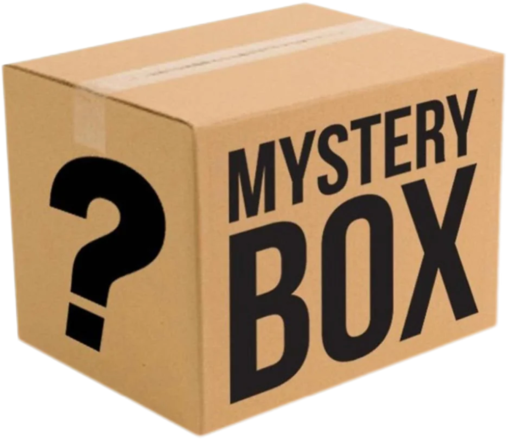 FUJIMOTO NS MYSTERY BOX (Brown)